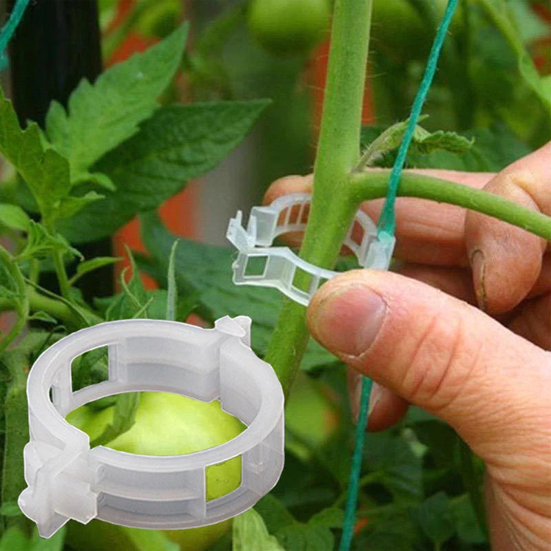 Ultra Smart Plant Grips™ | Håller växterna stabila!