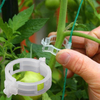 Ultra Smart Plant Grips™ | Håller växterna stabila!