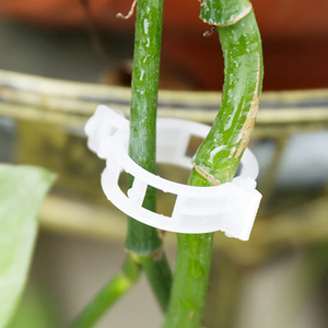 Ultra Smart Plant Grips™ | Håller växterna stabila!